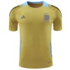 Maillot de Supporter Argentine Pre-Match 2024 Jaune Pour Homme